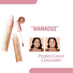 hanasui perfect cover concealer 4,5g